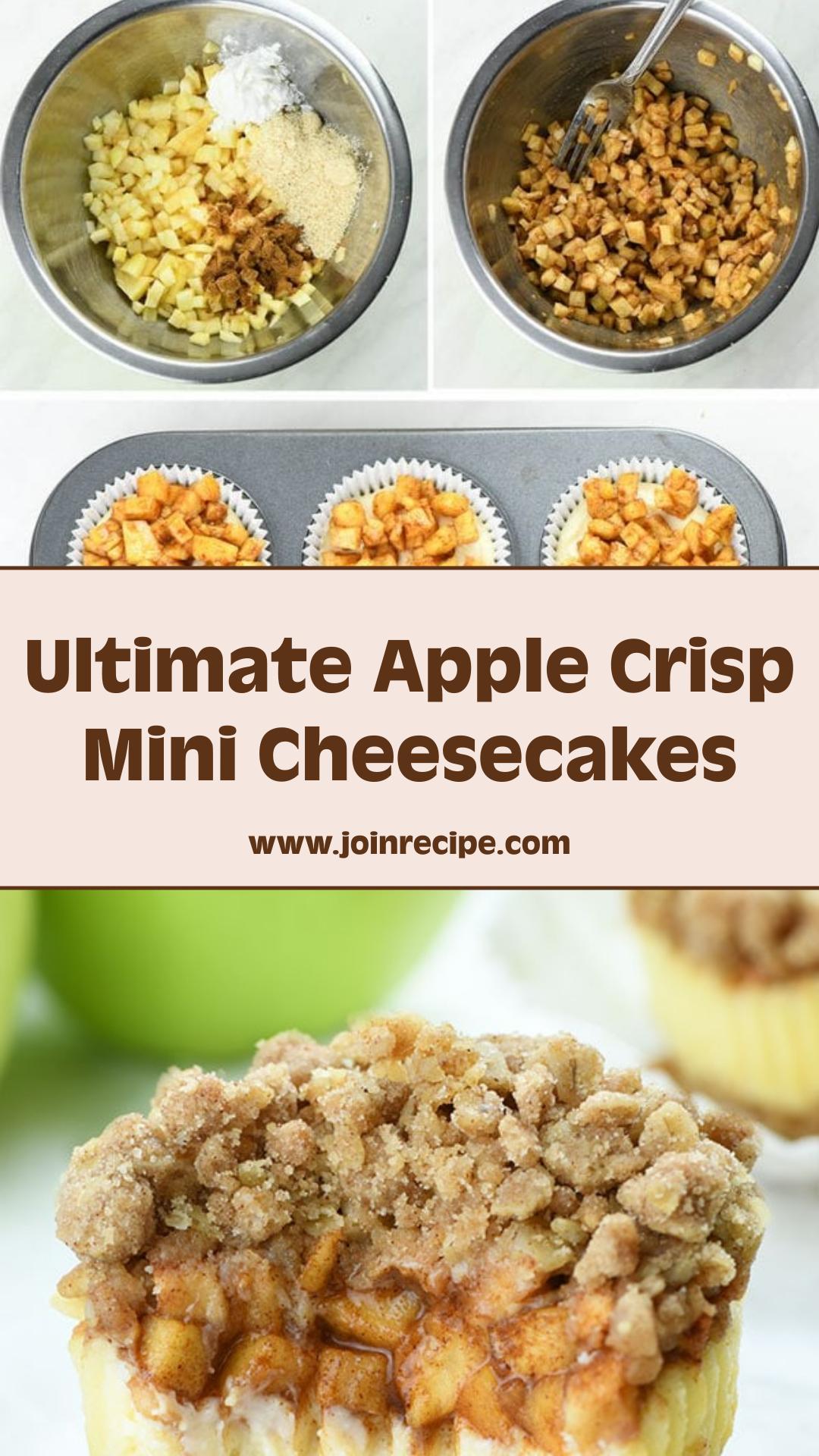 Apple Crisp Mini Cheesecakes with Cinnamon-Oat Streusel — pin 2
