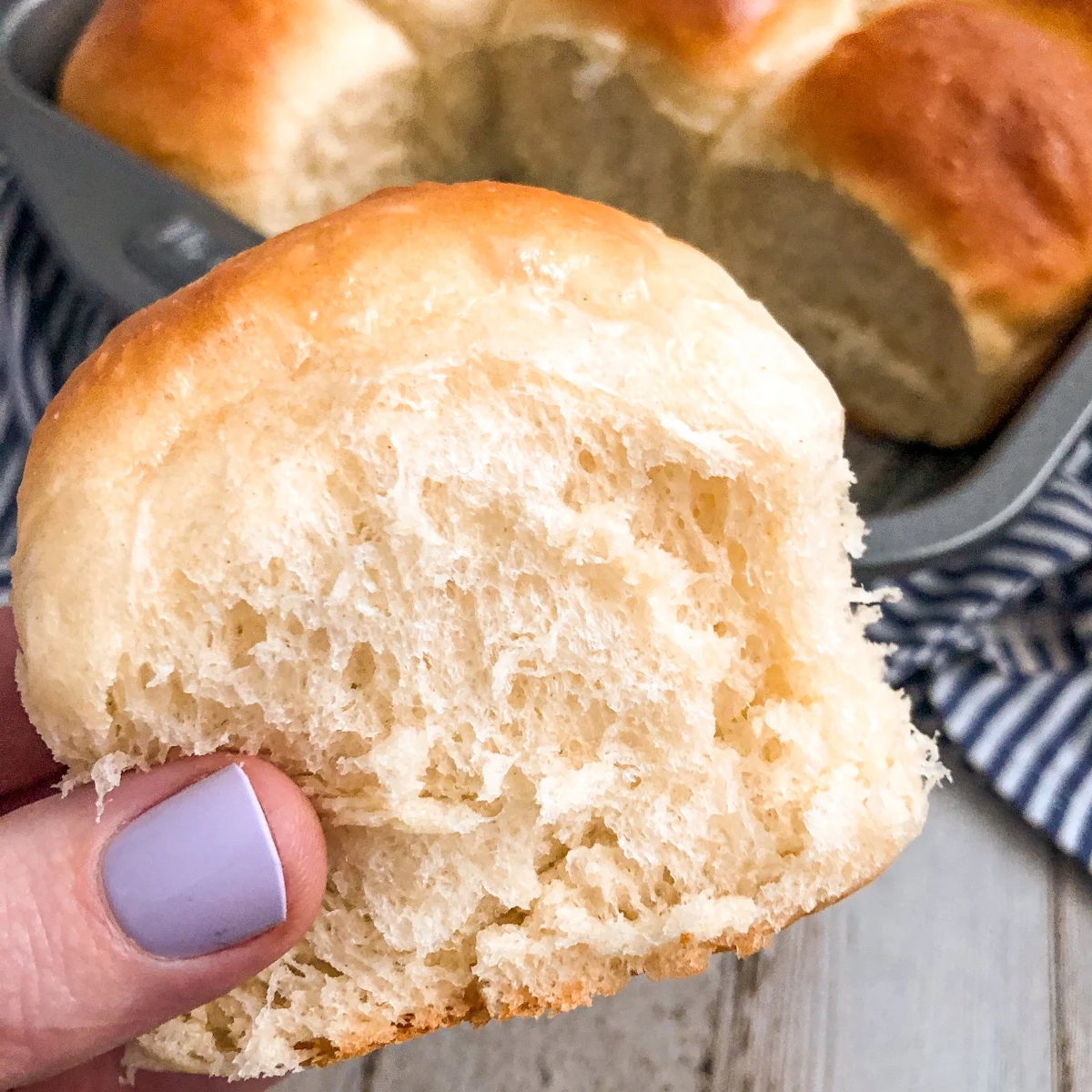 30 Minute Dinner Rolls With Soft, Fluffy Centers