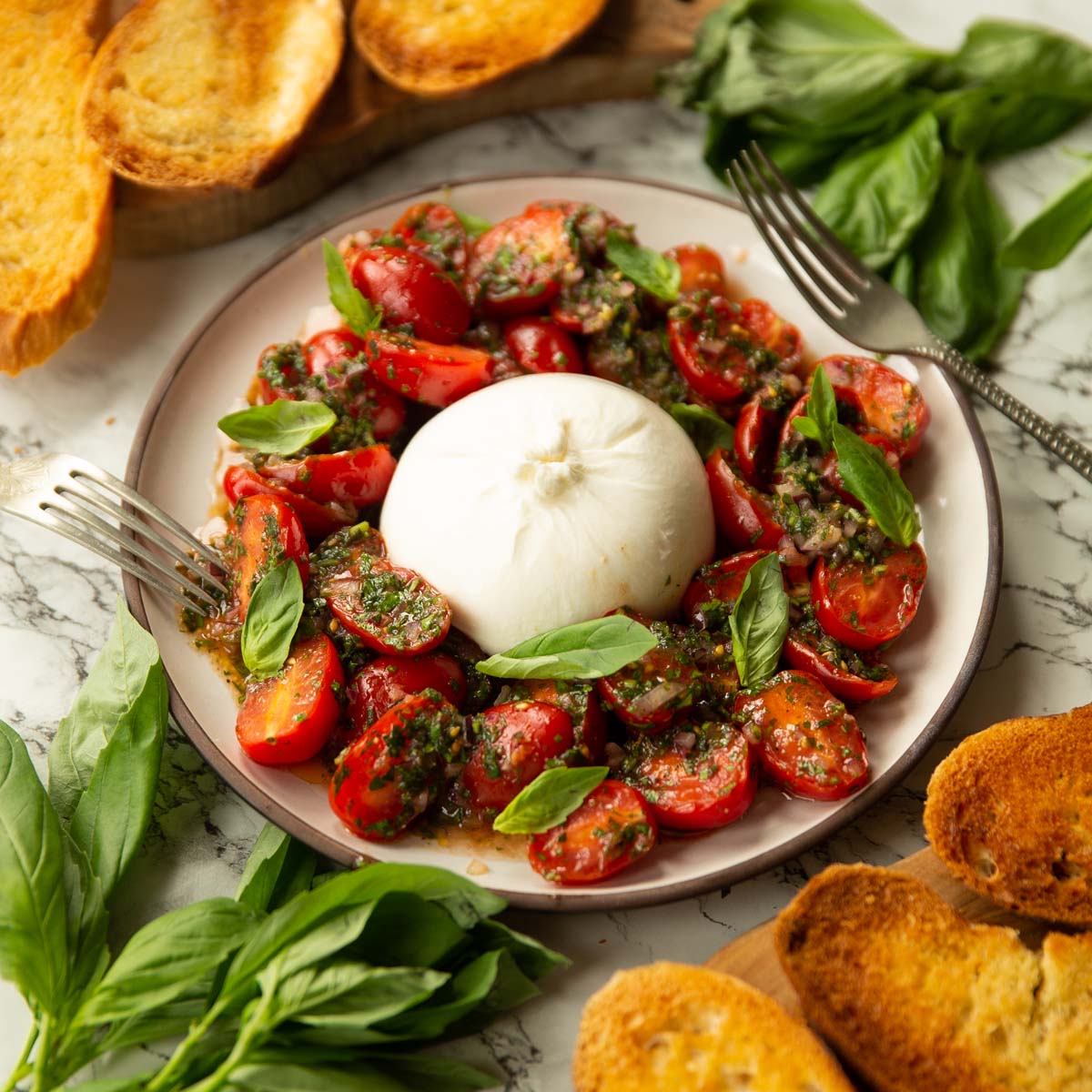 Tomato Burrata Salad With Marinated Tomatoes and Crisp Garlic Toast