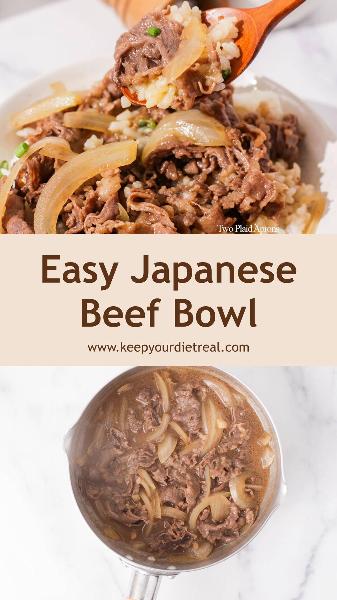 Gyudon: Japanese Beef Bowl with Sweet-Savory Onion Sauce — pin 3