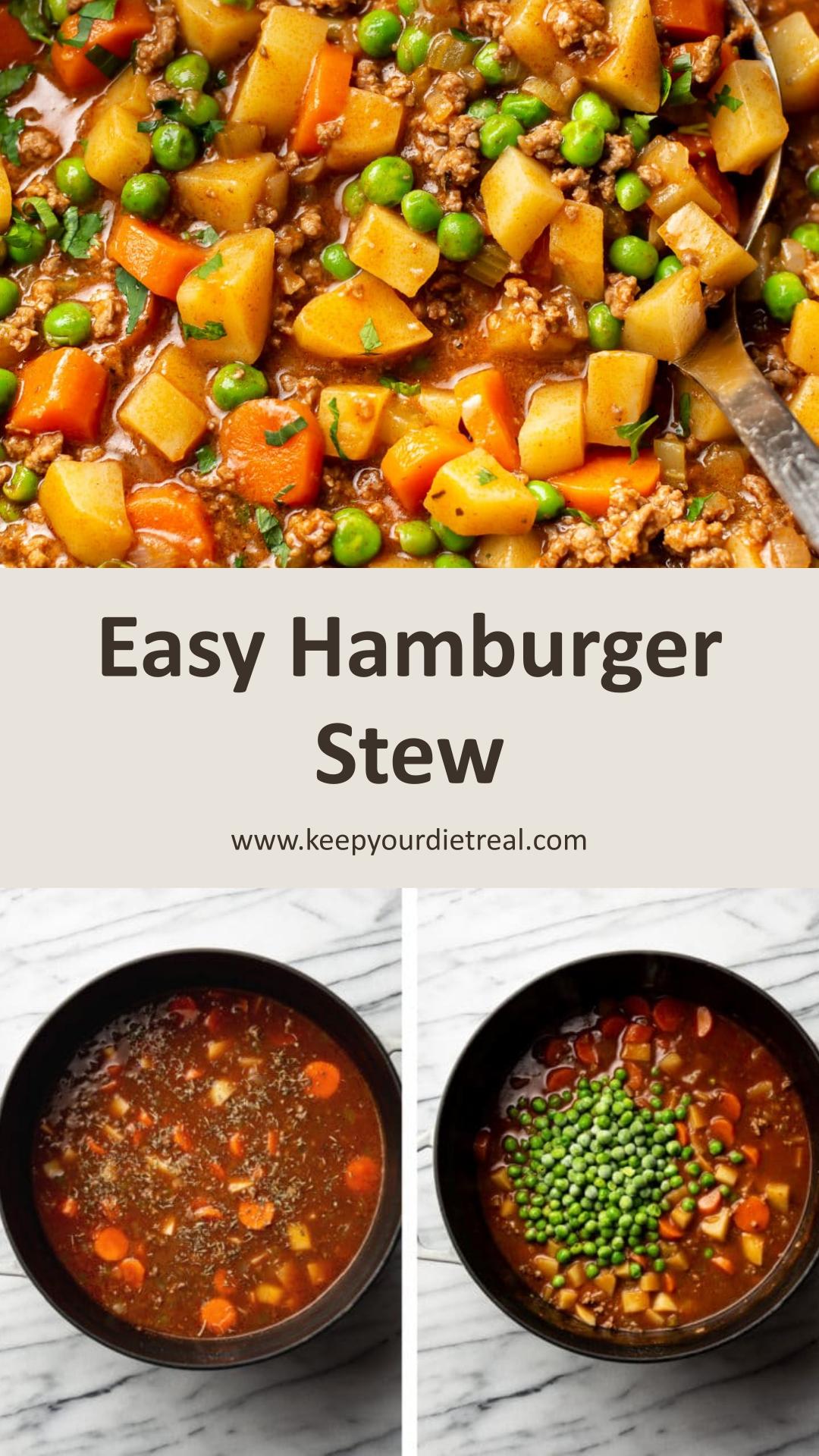 Hamburger Stew with Tender Potatoes and Savory Beef Broth — pin 2