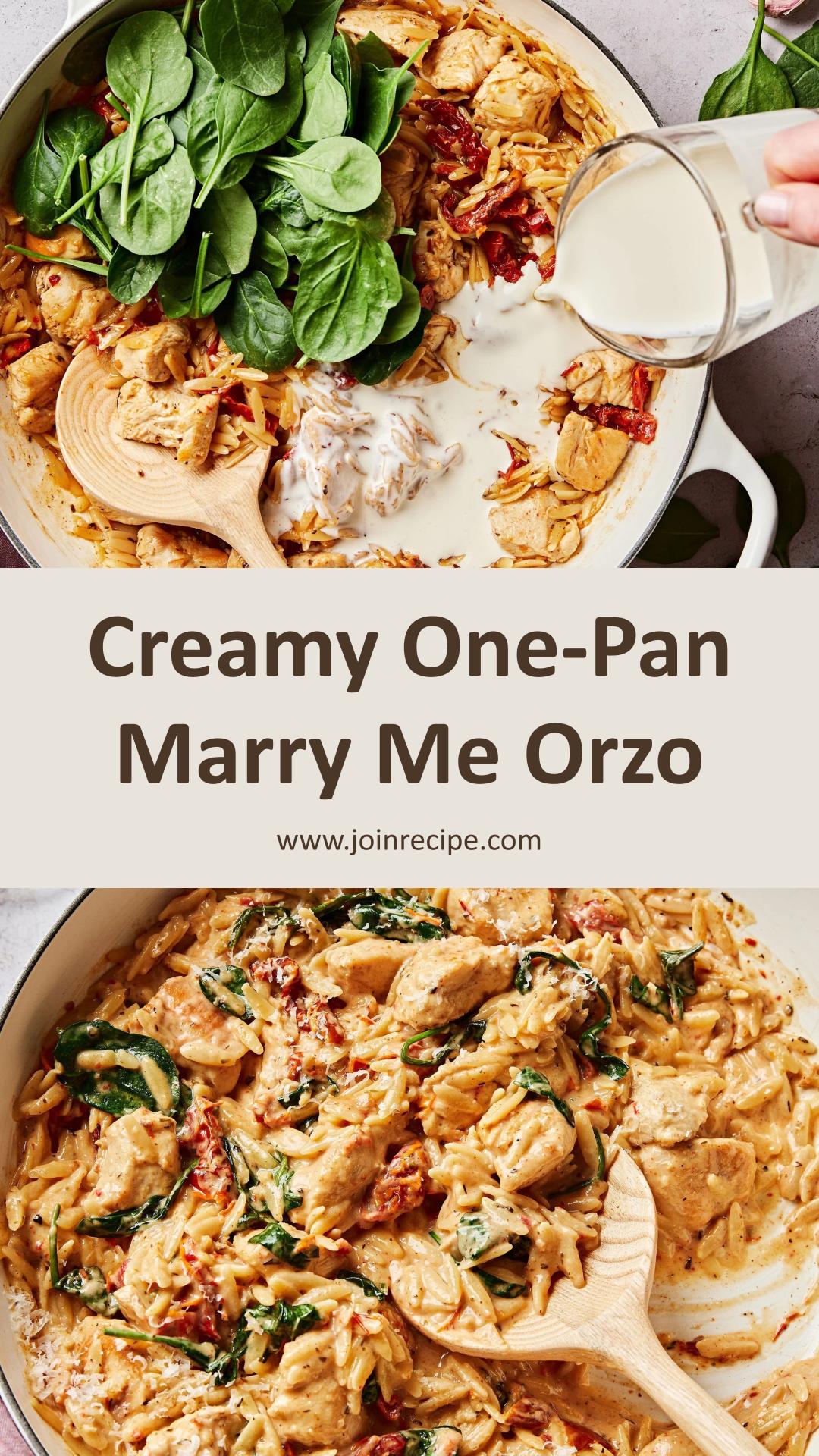 One-Pan Marry Me Chicken Orzo with Creamy Sun-Dried Tomato Sauce — pin 4