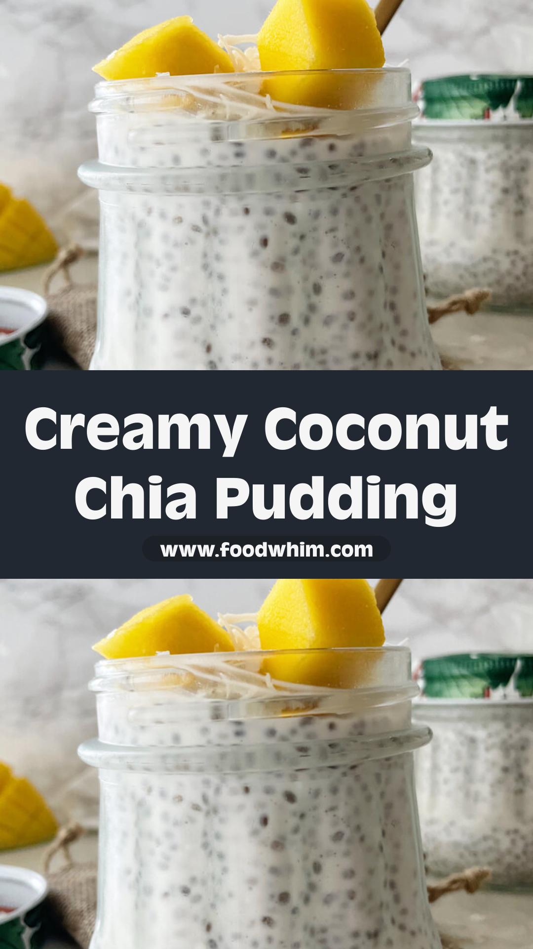Coconut Chia Seed Pudding with Creamy Coconut Milk and Coconut Flakes — pin 3
