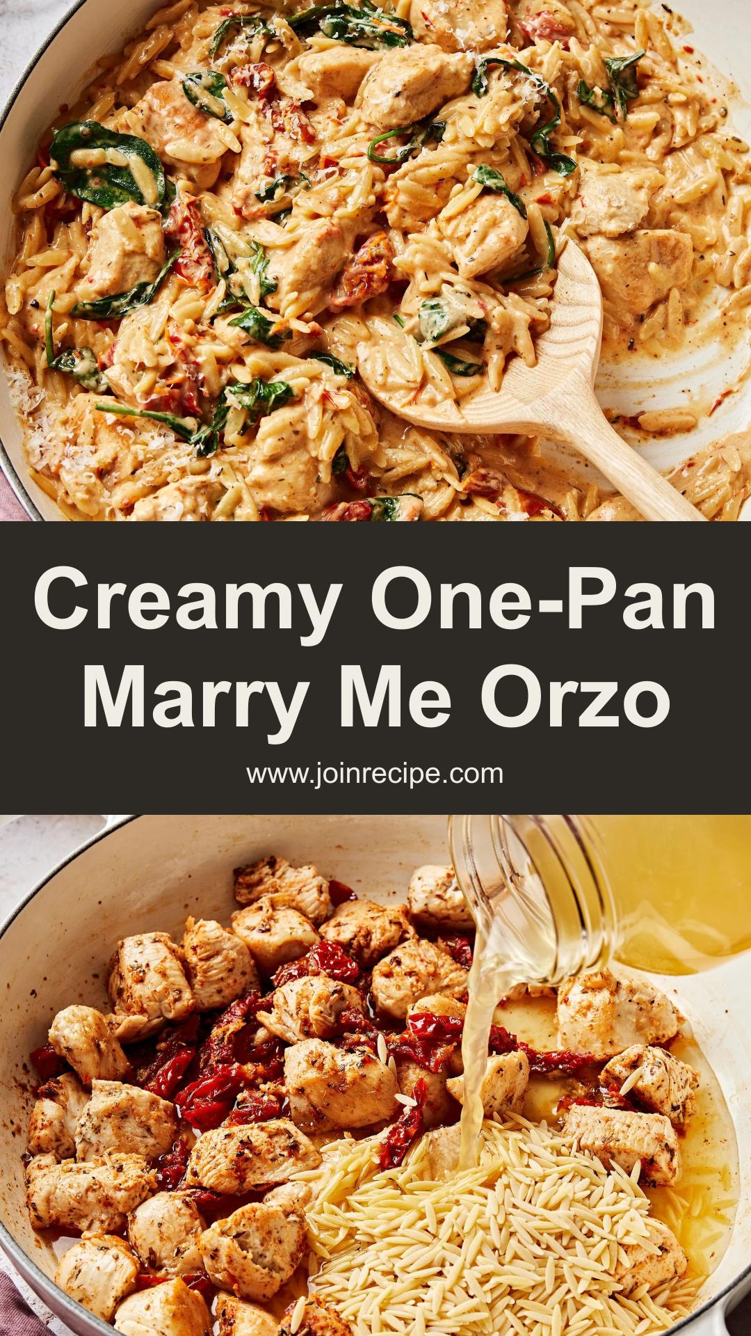 One-Pan Marry Me Chicken Orzo with Creamy Sun-Dried Tomato Sauce — pin 3