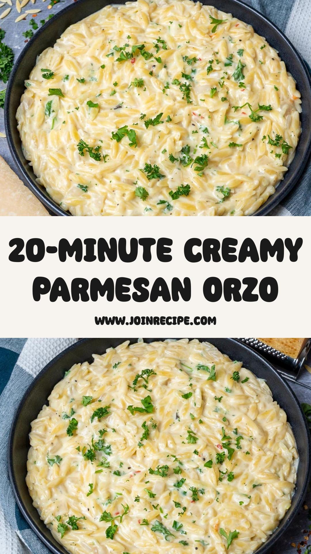 Creamy Garlic Parmesan Orzo: 20-Minute Make-Ahead Side Dish — pin 1
