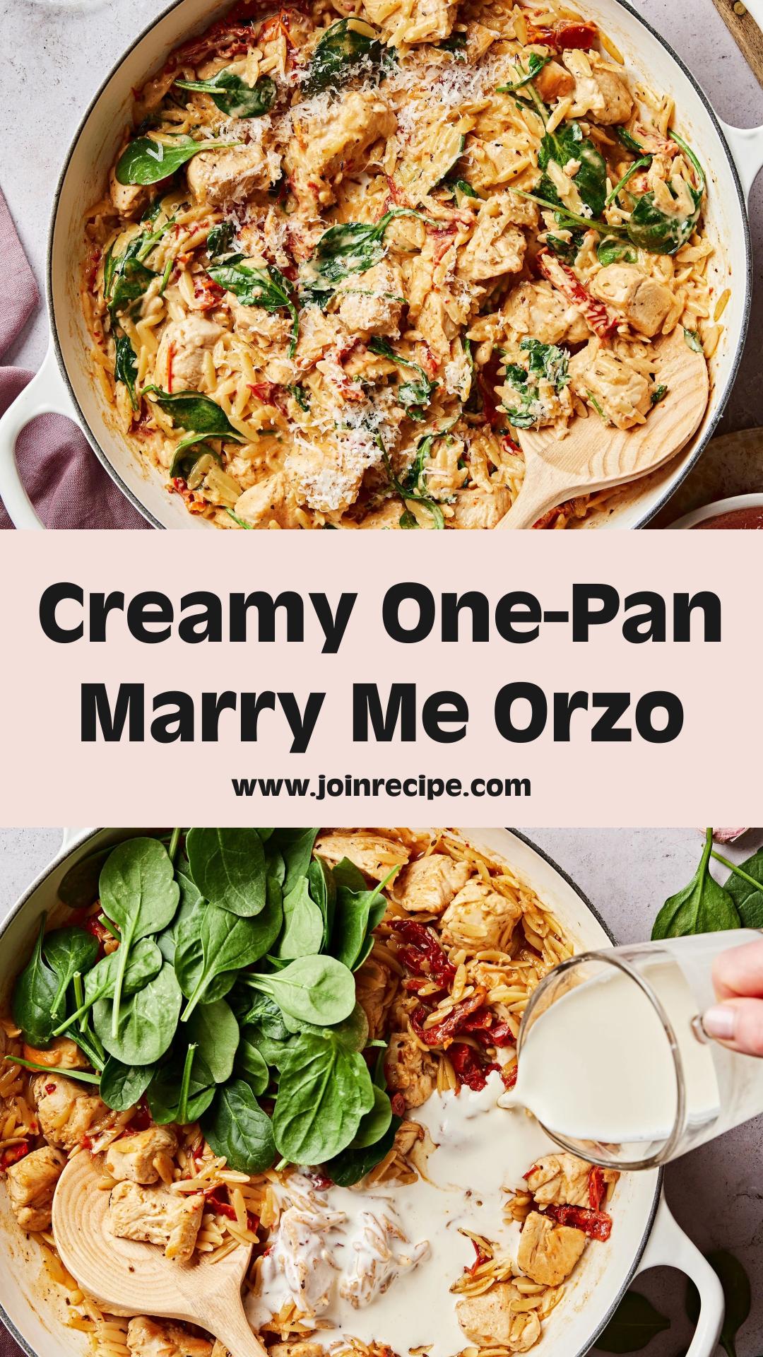 One-Pan Marry Me Chicken Orzo with Creamy Sun-Dried Tomato Sauce — pin 1