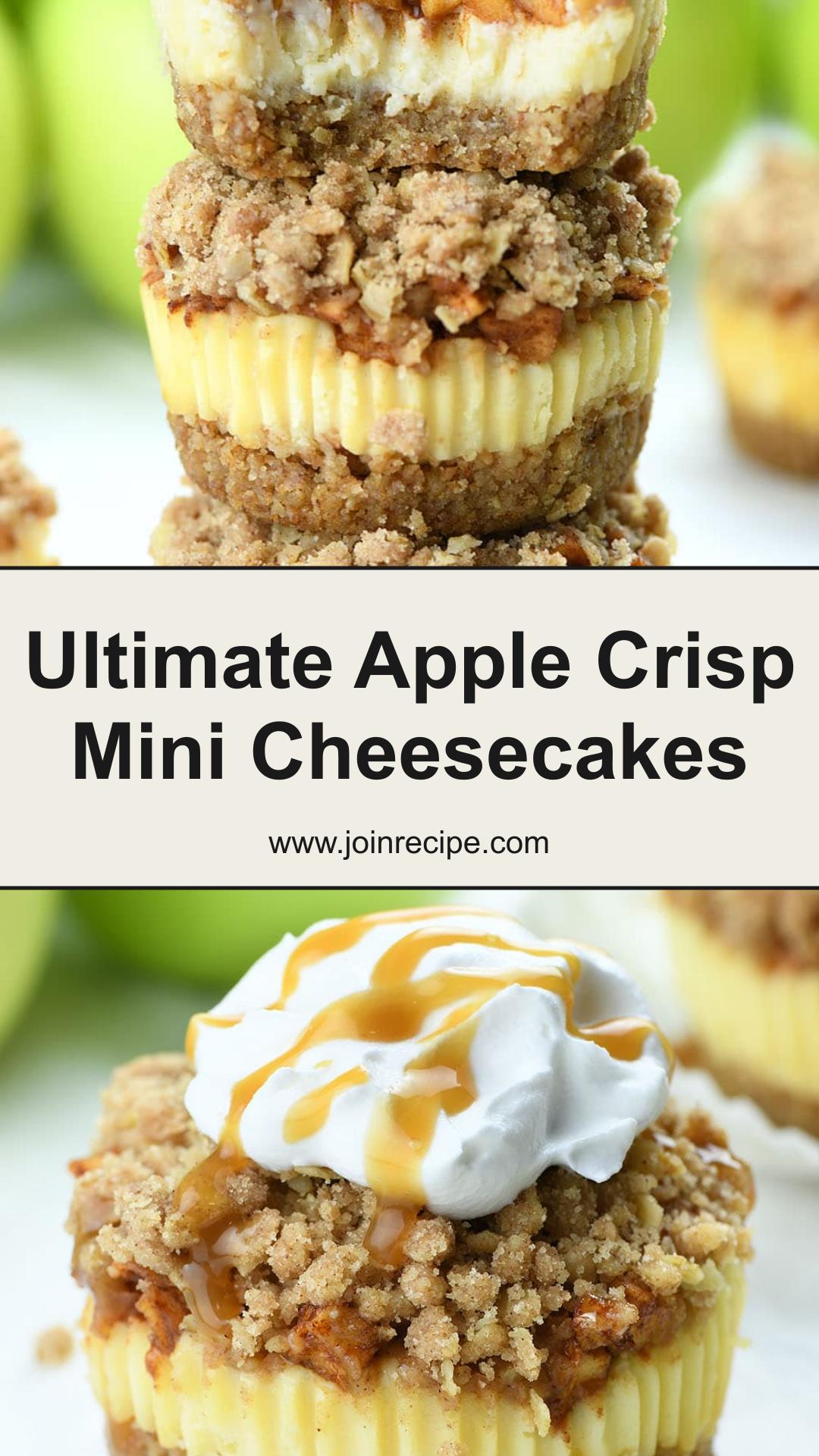 Apple Crisp Mini Cheesecakes with Cinnamon-Oat Streusel — pin 3