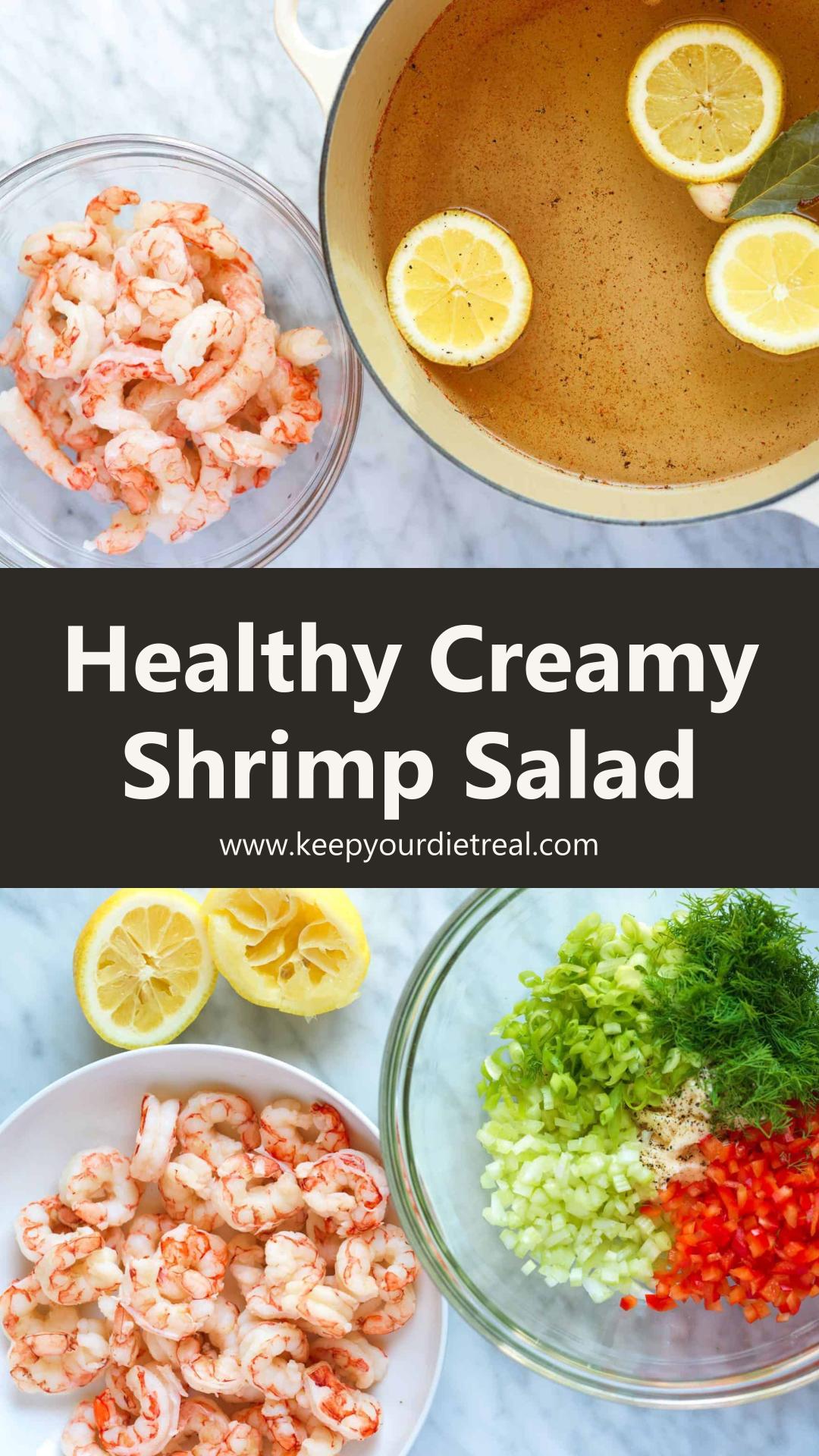 Shrimp Salad with Creamy Lemon Dill Dressing and Crisp Vegetables — pin 1