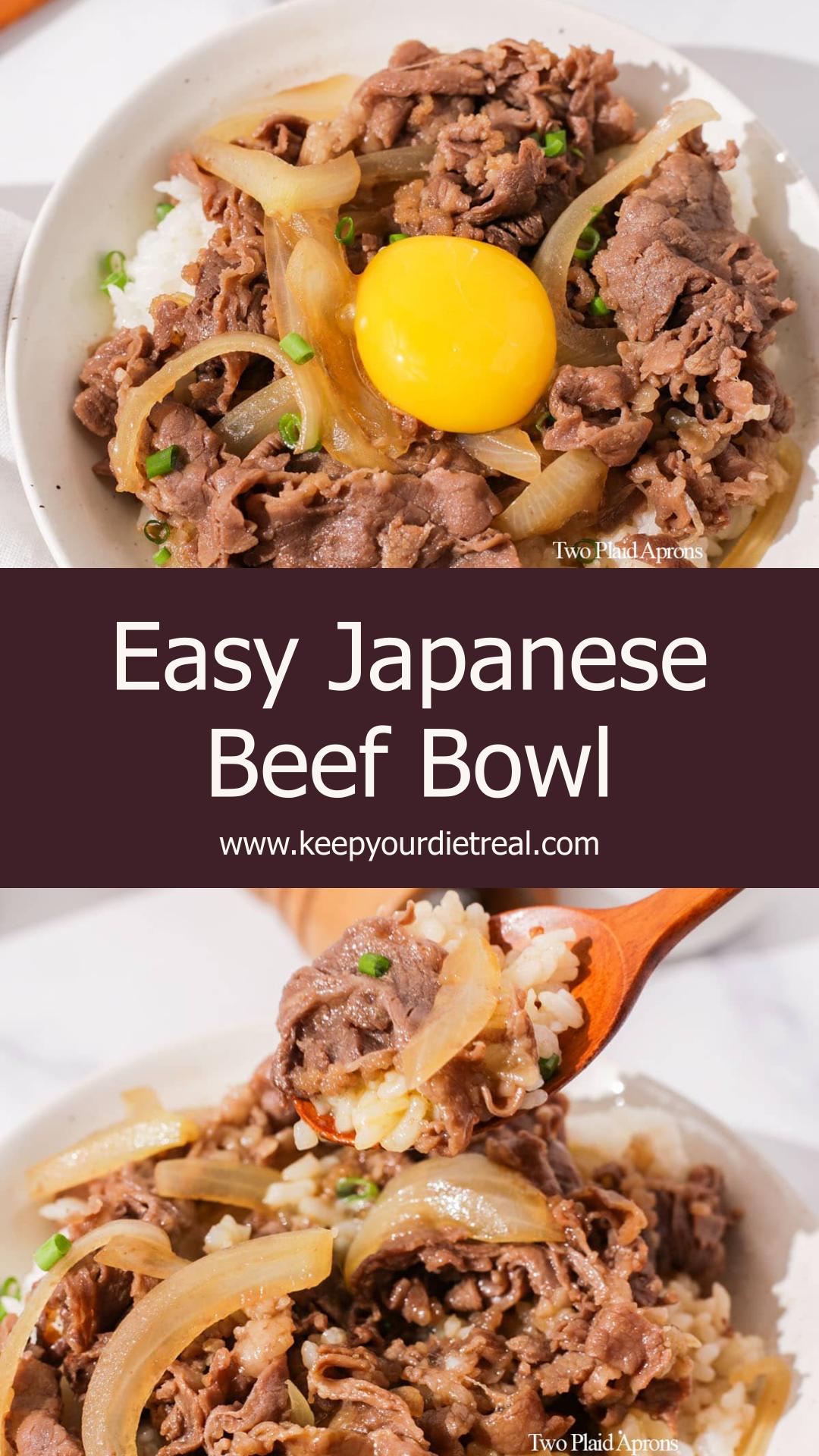 Gyudon: Japanese Beef Bowl with Sweet-Savory Onion Sauce — pin 2