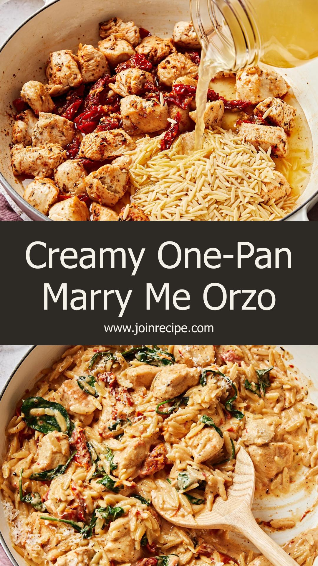 One-Pan Marry Me Chicken Orzo with Creamy Sun-Dried Tomato Sauce — pin 2