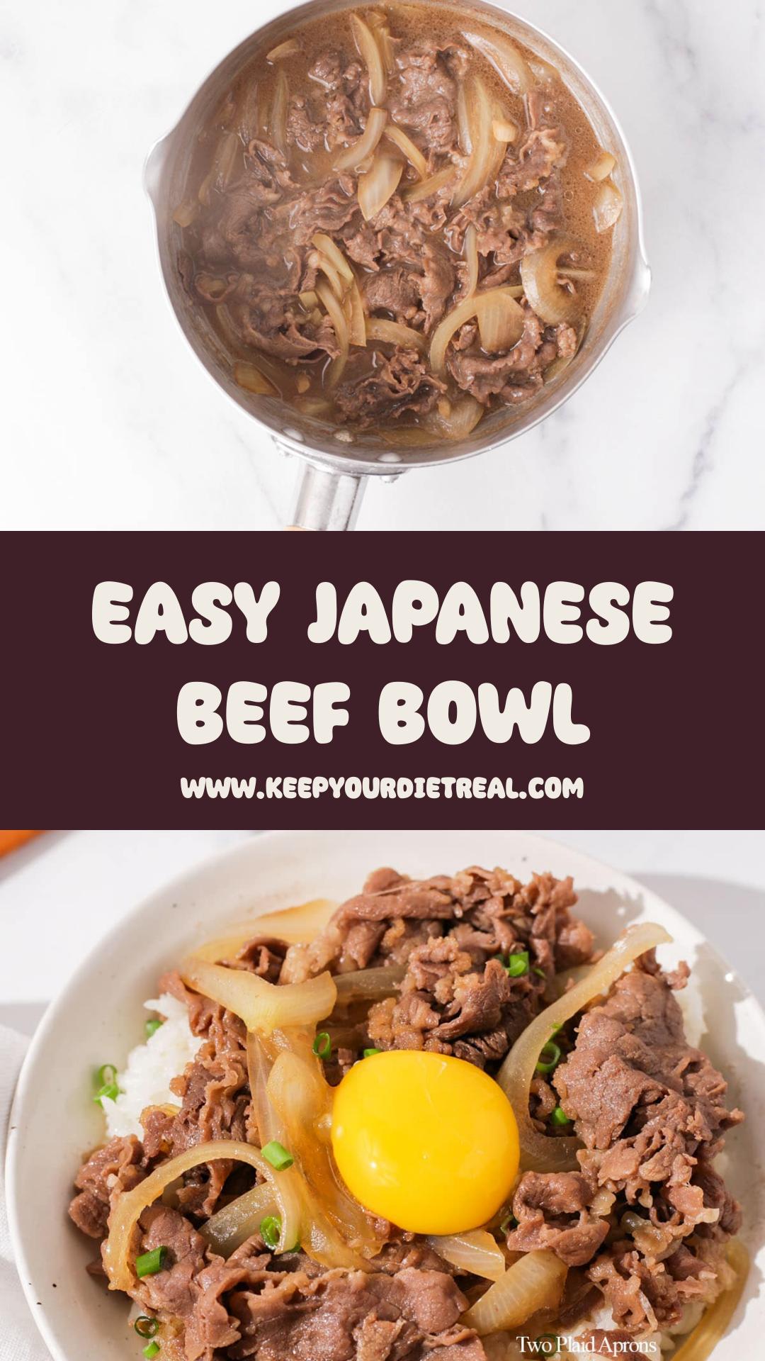 Gyudon: Japanese Beef Bowl with Sweet-Savory Onion Sauce — pin 1